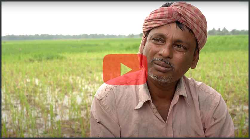 Interview: Tarak Mandal   Insights of a landless share-cropper on work related migration. Tarak a landless sharecropper who migrates for at least 3 months in a year to work as an agricultural labourer provides an interesting insight